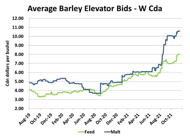 Barley Market Both Predictable and Surprising So Far