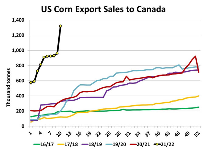 us-corn-export-sales-to-canada