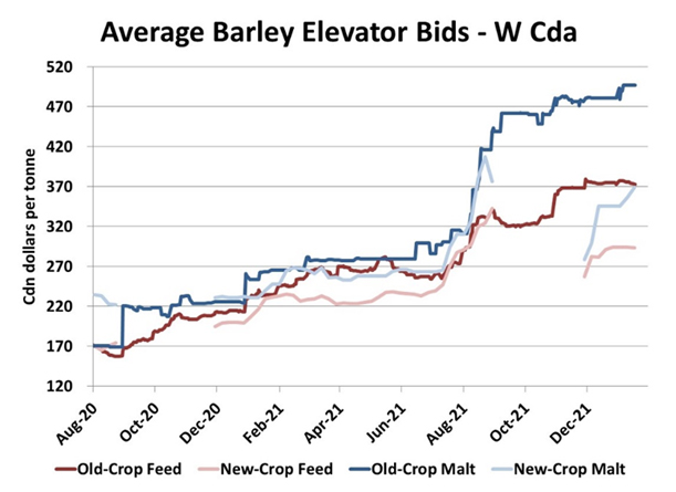 More adjustments in the Canadian barley market