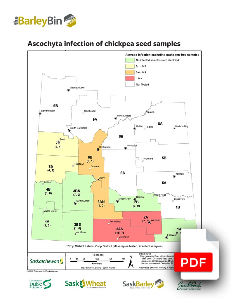 Ascochyta infection of chickpea seed samples