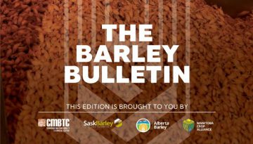 barley-bulletin-featured
