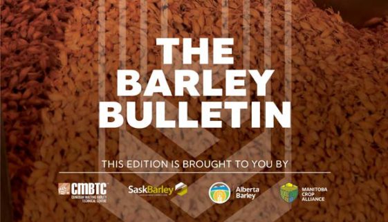 barley-bulletin-featured