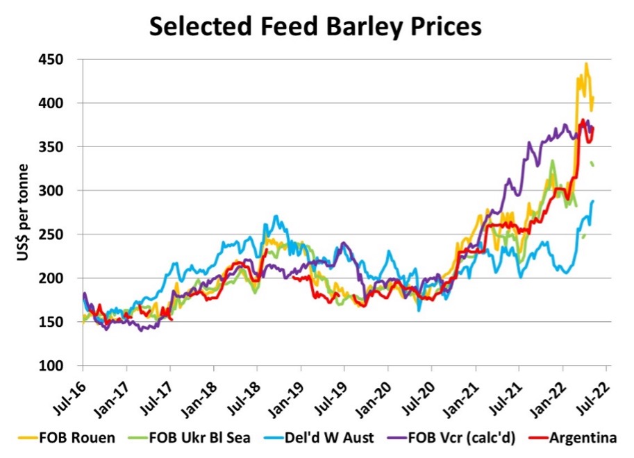 Market Report: No Relief for Global Barley Supplies