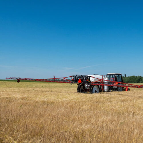 pre-harvest-glyphosate-staging-tips-for-pre-harvest-weed-control