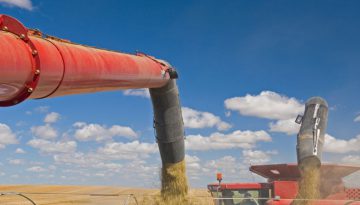 saskbarley-harvest-sample-program