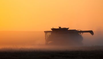 saskbarley-harvest-time