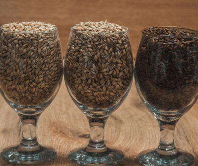 saskbarley-malting-varieties