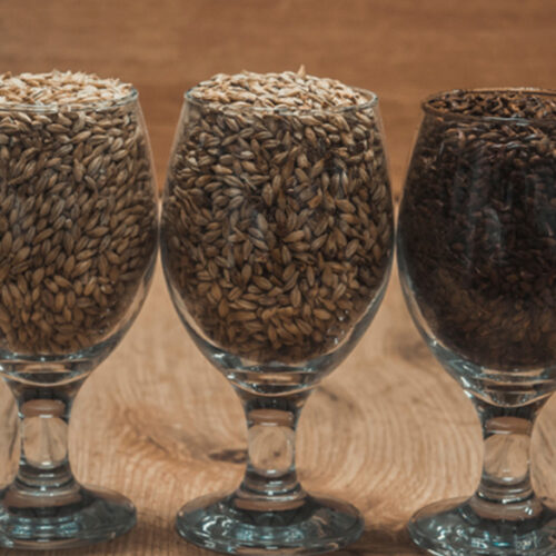 saskbarley-malting-varieties saskbarley-malting-varieties