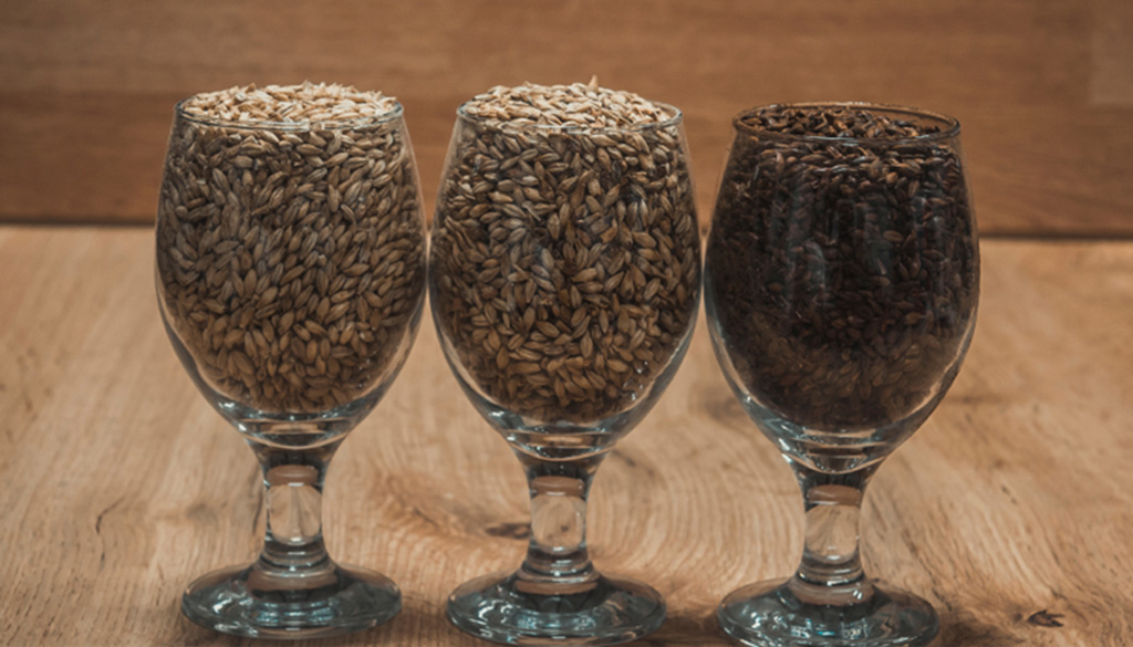 different malts in 3 cups