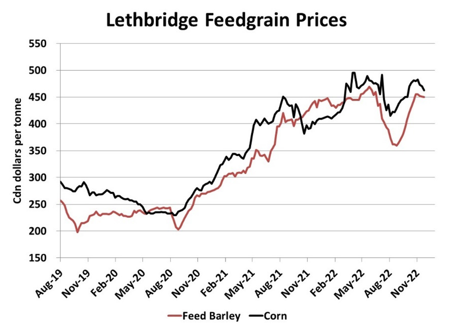 lethbridge-feedgrain-pricing-dec-2022
