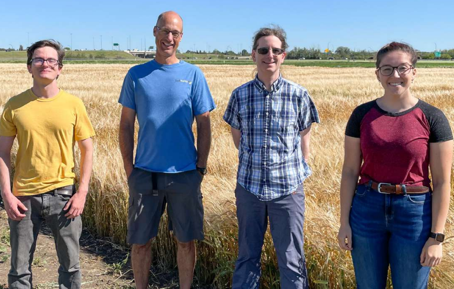 Aaron Beattie and Allan Feurtado (centre left and right) with graduate students at barley plots in Saskatoon, SK. Photo courtesy Allan Feurtado.