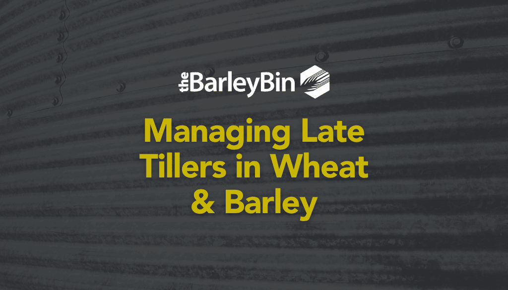Managing Late tillers