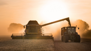 October Barley Image