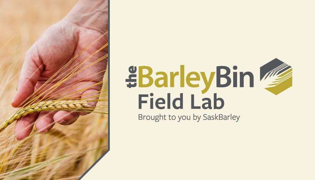 SB_BarleyBin_Article-Headers-Feb-2024-4