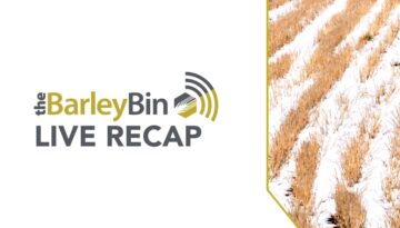 Cover Image for Barley Announcements on Website - 2