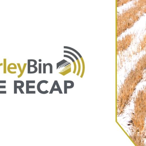 Cover Image for Barley Announcements on Website - 2