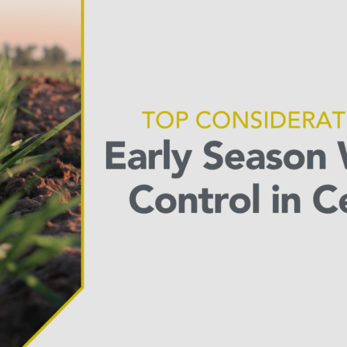 Early Season Weed Control