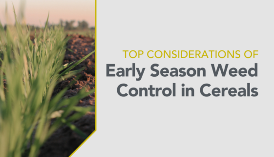 Early Season Weed Control