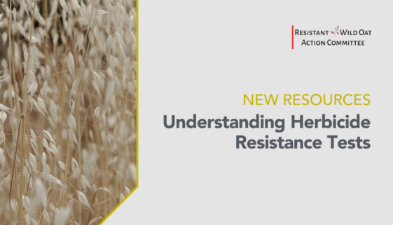 Herbicide-resistance wide