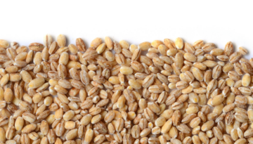 Hulled Barley