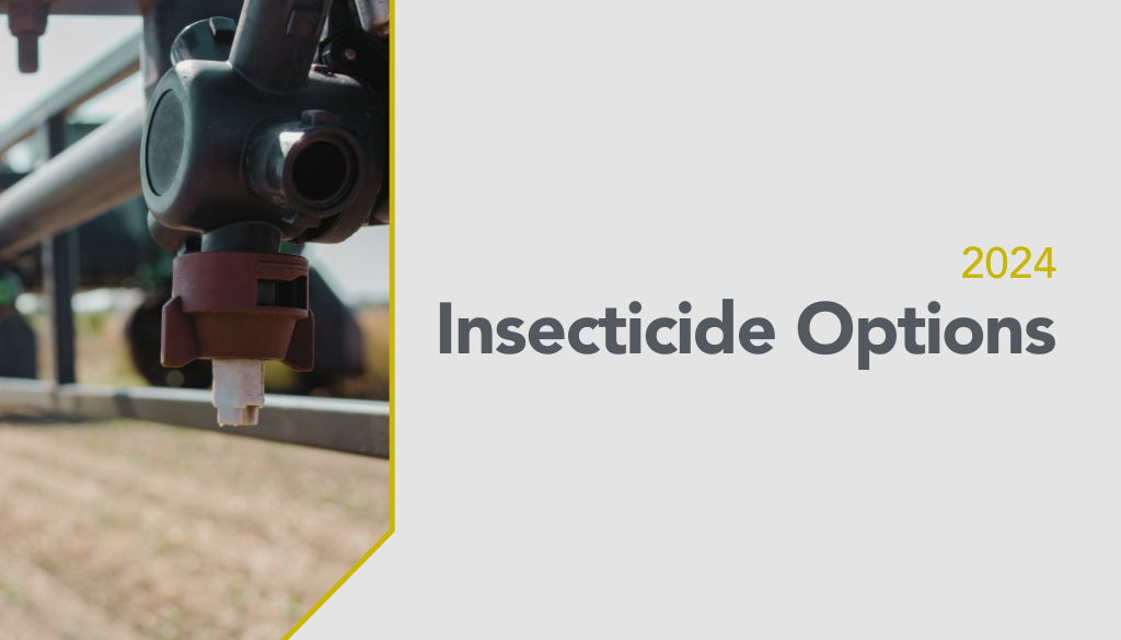 Insecticide Options