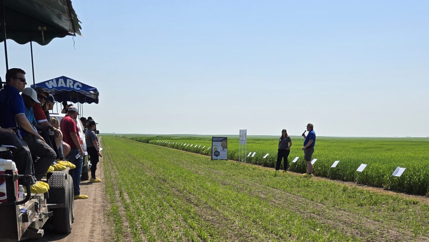 Mitchell Japp, SaskBarley, addressing a crowd at the WARC field day at Scott, SK in July 2024