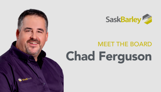 Chad-Ferguson-Sask-Barley-Board-of-Directors