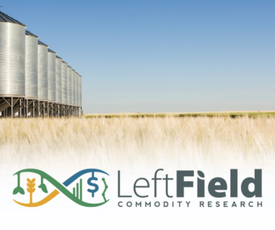 barley-market-report-leftfield-commodity-research