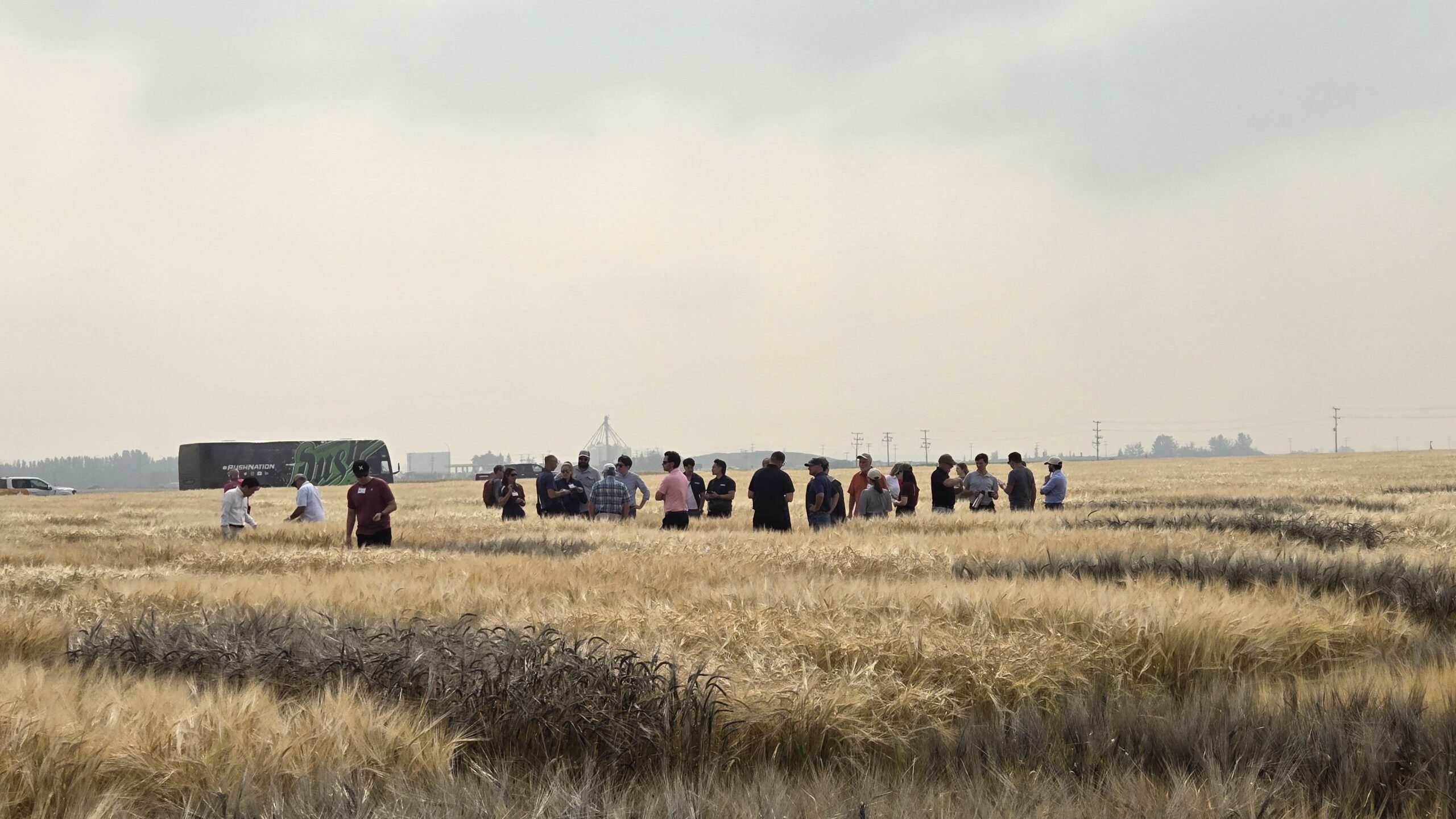 International delegates from the brewing and malting industries tour the Crop Development Centre's plots at the Kernen Crop Research Farm in Saskatoon.