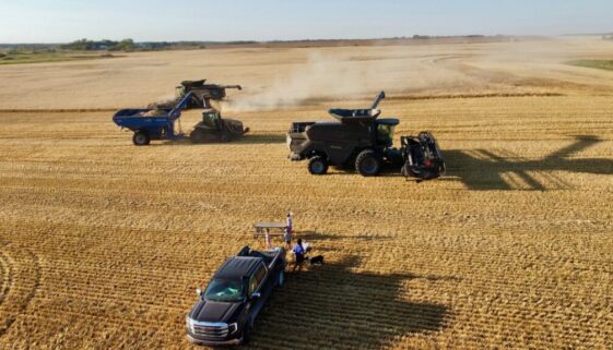 combines in a field at harvest