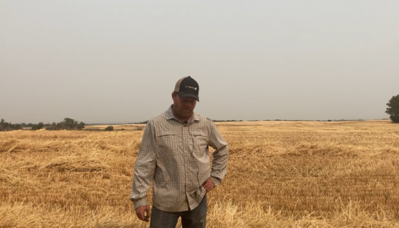 Brent Johnson harvest video screenshot