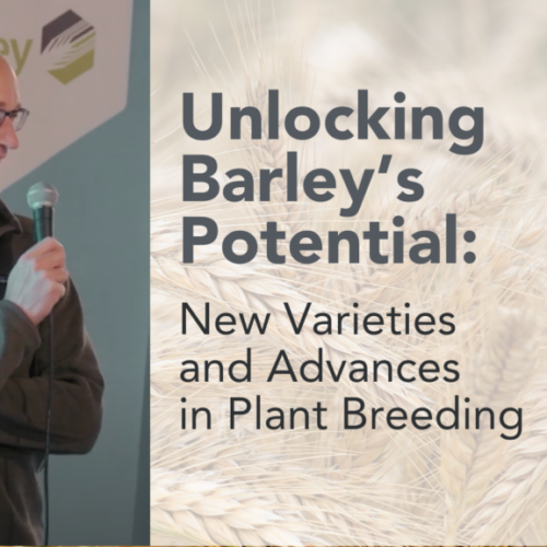 New advancements in breeding - Aaron Beattie BBL