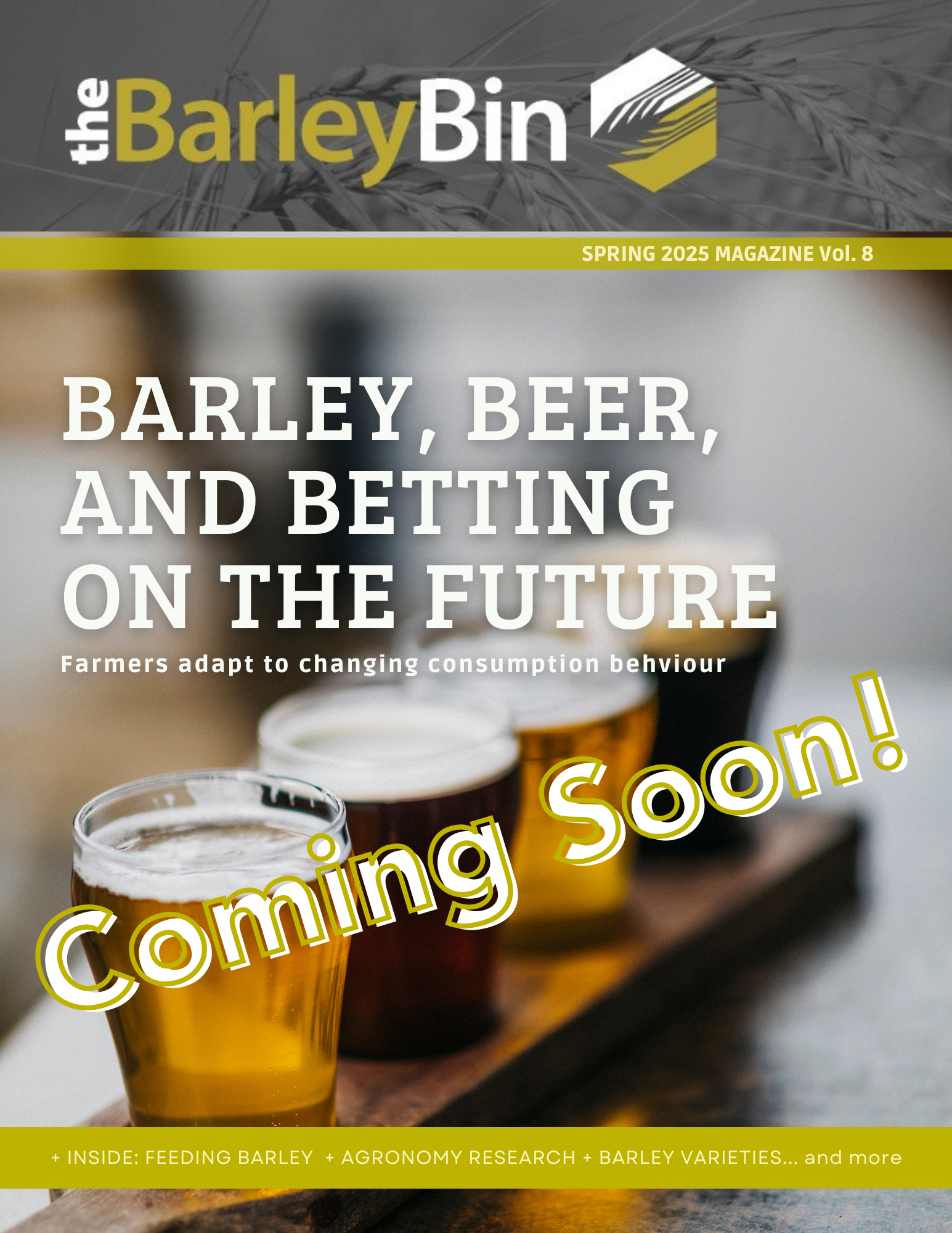BBM Spring 2025 Cover - Draft (Coming soon)
