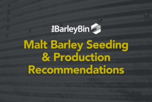 malt barley seeding and production considerations