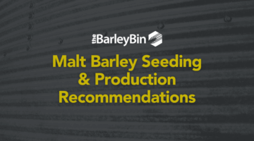 malt barley seeding and production considerations
