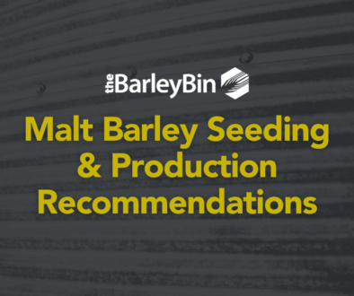 malt barley seeding and production considerations