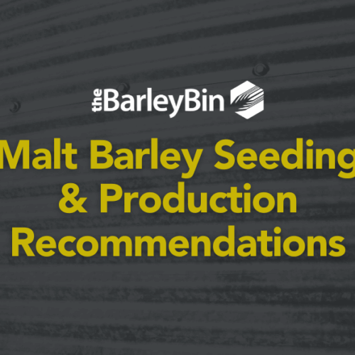 malt barley seeding and production considerations