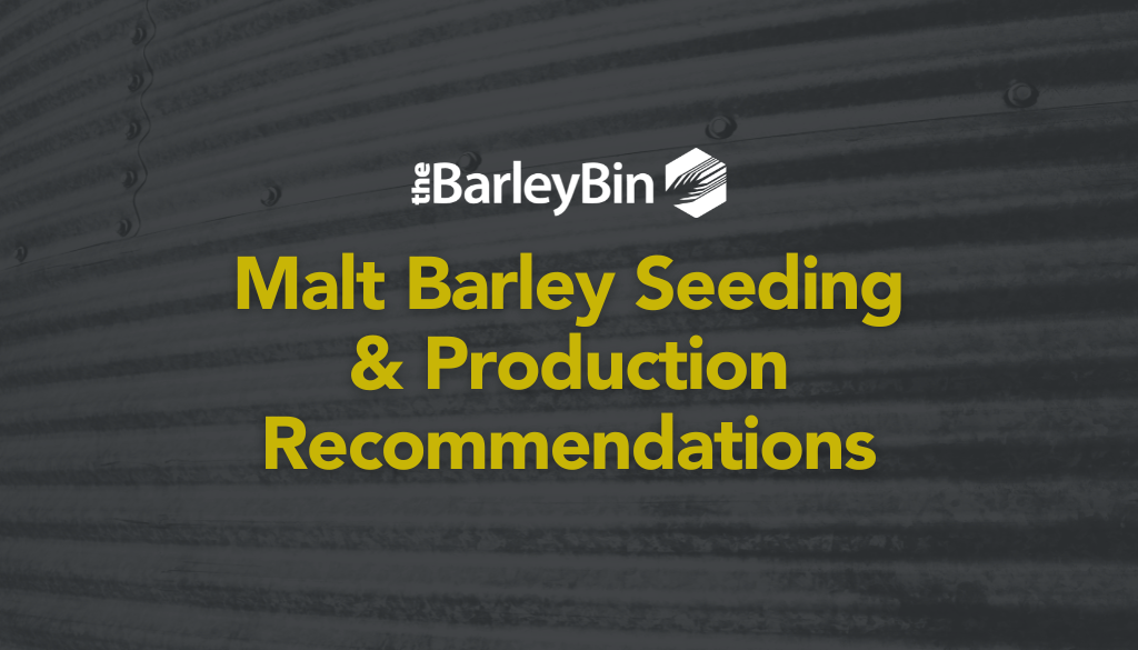 malt barley seeding and production considerations