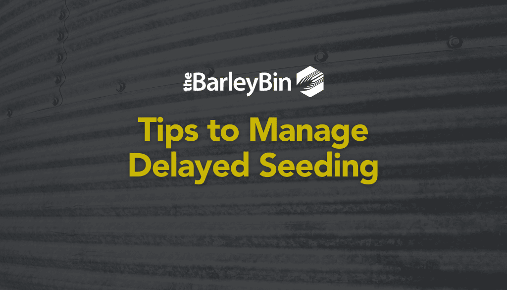 tips to manage delayed seeding