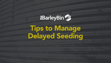tips to manage delayed seeding