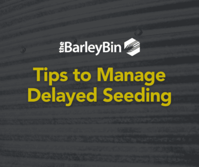 tips to manage delayed seeding