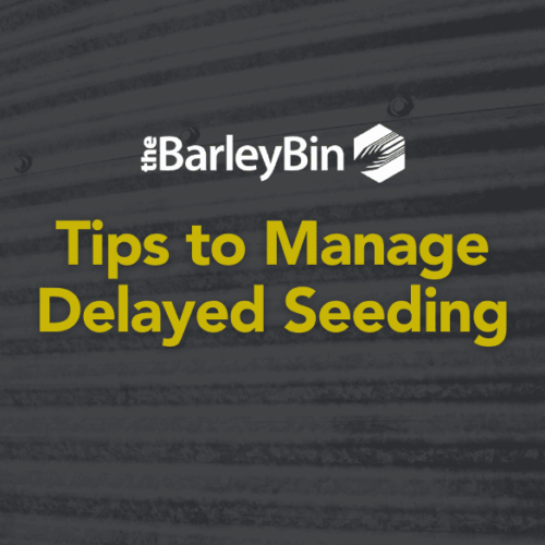 tips to manage delayed seeding