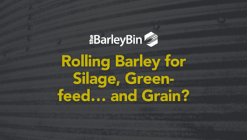 Rolling barley