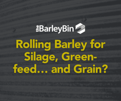 Rolling barley