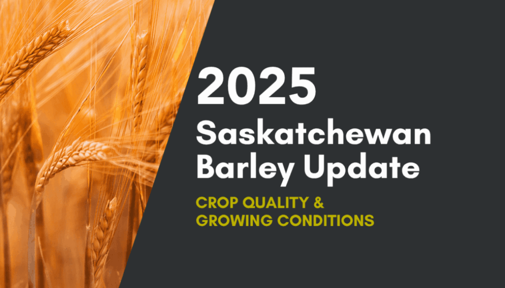 2025-saskatchewan-barley-update