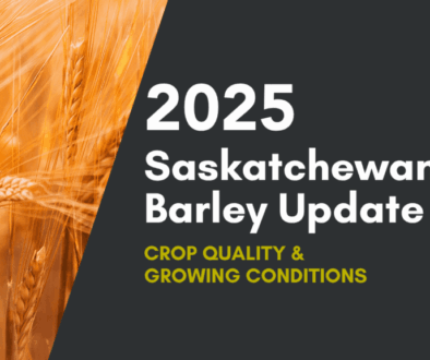 2025-saskatchewan-barley-update