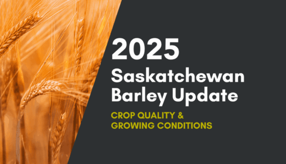 2025-saskatchewan-barley-update