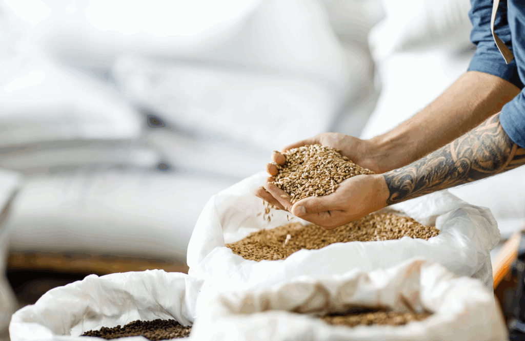 maltster holding barley
