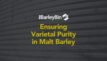 Ensuring Varietal Purity in Malt Barley