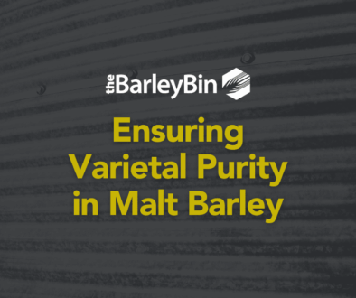 Ensuring Varietal Purity in Malt Barley